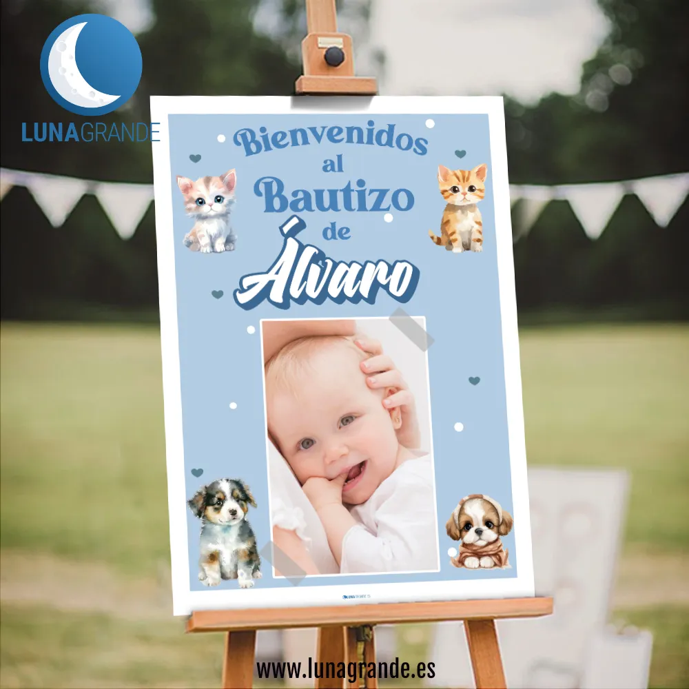 Cartel de bienvenida Bautizo - Perritos y Gatitos 2 Cartel Bautizo Animalitos - Gatitos y perritos - celeste - 50 x 70