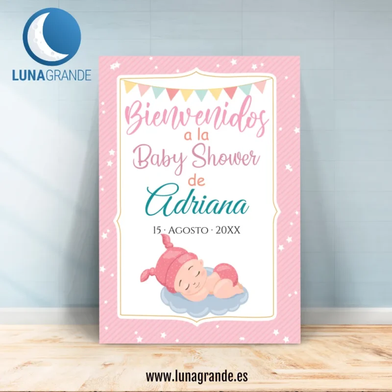 Cartel Bienvenida Baby Shower niña - 50 x 70